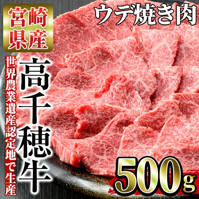 高千穂牛 ウデ焼き肉(500g)国産 宮崎県産 宮崎牛 牛肉 焼肉 ウデ肉 霜降り A4 和牛 ブランド牛 [MT001][JAみやざき 高千穂牛ミートセンター]