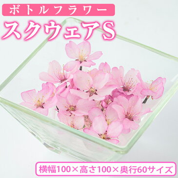 【ふるさと納税】ボトルフラワー＜スクウェアS・W100×H100×D60＞日之影の季節の花やお好きな花をボトルに！【A-38】【ボトルフラワーatelier4-flowers】