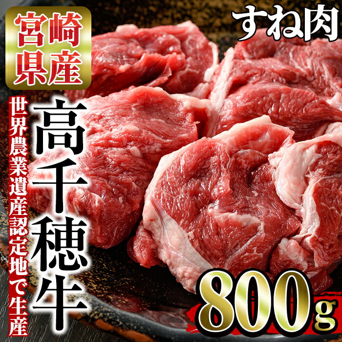 【ふるさと納税】高千穂牛 すね肉 計800g・400g 2P 国産 宮崎県産 宮崎牛 牛肉 スネ肉 煮込み料理 霜降り A4 和牛 ブランド牛【MT003】【JAみやざき 高千穂牛ミートセンター】