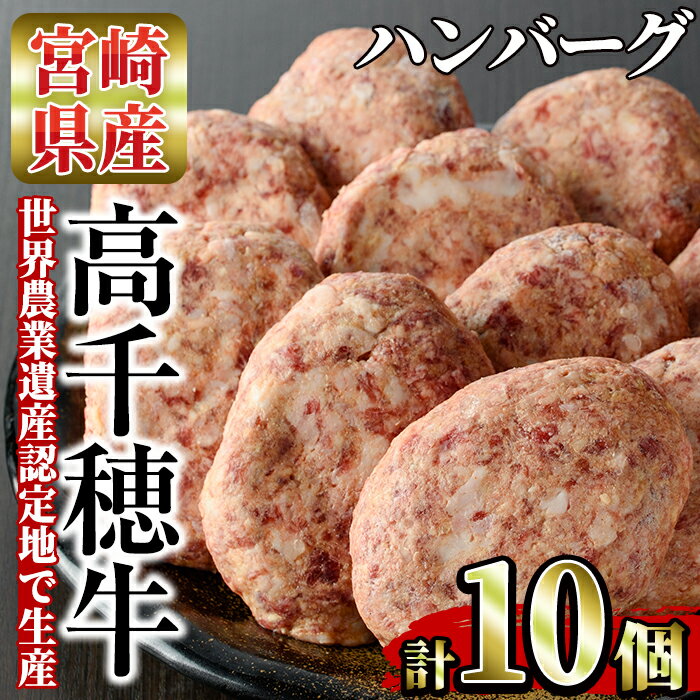 【ふるさと納税】高千穂牛 ハンバーグ(計10個・2個×5P)