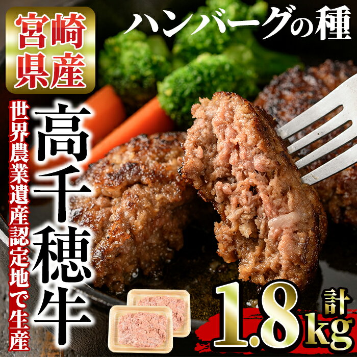 【ふるさと納税】高千穂牛 ハンバーグの種 計1.8kg・900g 2P 国産 宮崎県産 宮崎牛 牛肉 ハンバーグ 霜降り A4 和牛 ブランド牛 【MT006】【JAみやざき 高千穂牛ミートセンター】