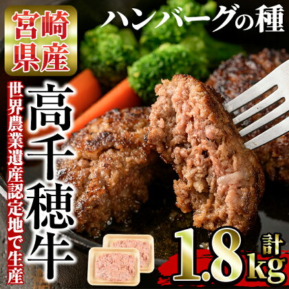 高千穂牛 ハンバーグの種(計1.8kg・900g×2P)国産 宮崎県産 宮崎牛 牛肉 ハンバーグ 霜降り A4 和牛 ブランド牛 【MT006】【JAみやざき 高千穂牛ミートセンター】