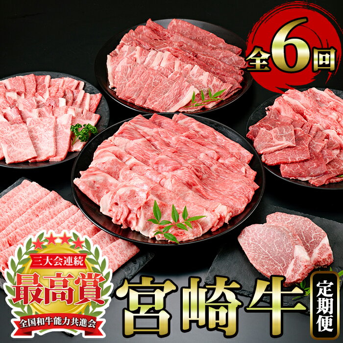 定期便 肉 のふるさと納税返礼品 おすすめ 2021最新情報 Hisふるさと納税比較