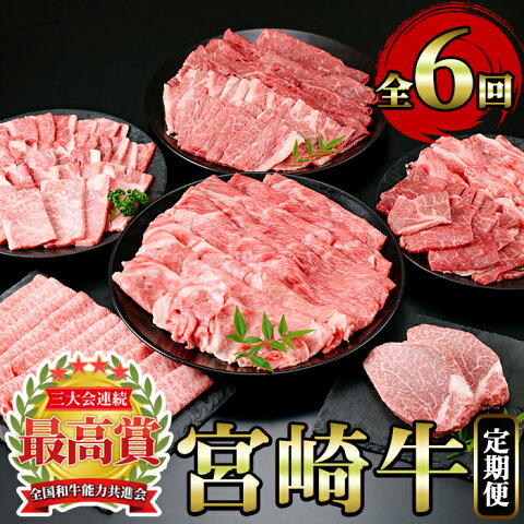 【ふるさと納税】＜宮崎牛6ヶ月定期便B＞宮崎牛のスライスや焼き肉用、ヒレステーキなど(全6回)美味しい牛肉をご家庭で！【A-129】【ミヤチク】