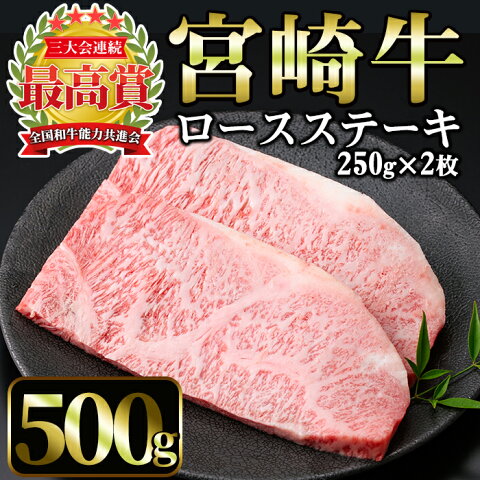 【ふるさと納税】宮崎牛ロースステーキ(計500g・250g×2枚)美味しい牛肉をご家庭で！【A-137】【ミヤチク】