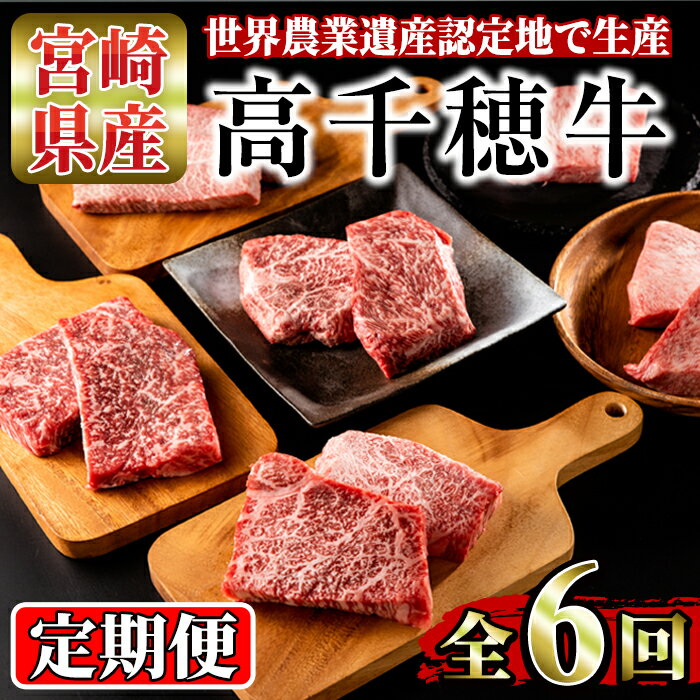 [定期便・6回(連続)]高千穂牛・定期便(6ヶ月)国産 宮崎県産 宮崎牛 牛肉 イチボ ランプ モモ サーロイン ステーキ A4 和牛[MT008][JAみやざき 高千穂牛ミートセンター]