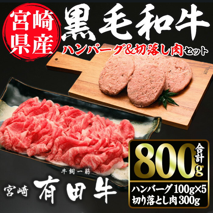 宮崎黒毛和牛ハンバーグと切落しの2種セット(ハンバーグ100g×5個・切落し300g)国産 宮崎県産 黒毛和牛 ハンバーグ 小分け[AR002][(有)有田牧畜産業 食肉加工センター]