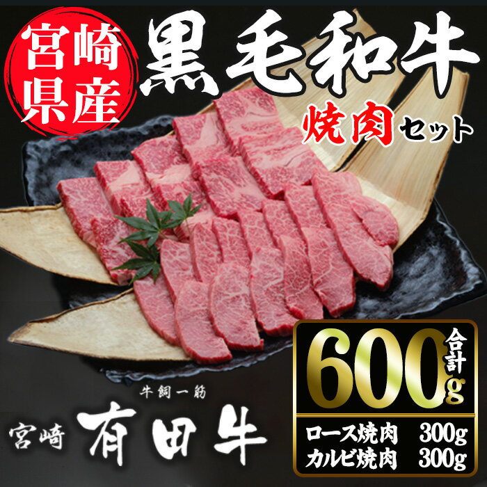 29位! 口コミ数「0件」評価「0」宮崎黒毛和牛焼肉セット(ロース・カルビ各300g)国産 宮崎県産 黒毛和牛 ロース カルビ 焼肉 霜降り 和牛 有田牛【AR005】【(有)･･･ 