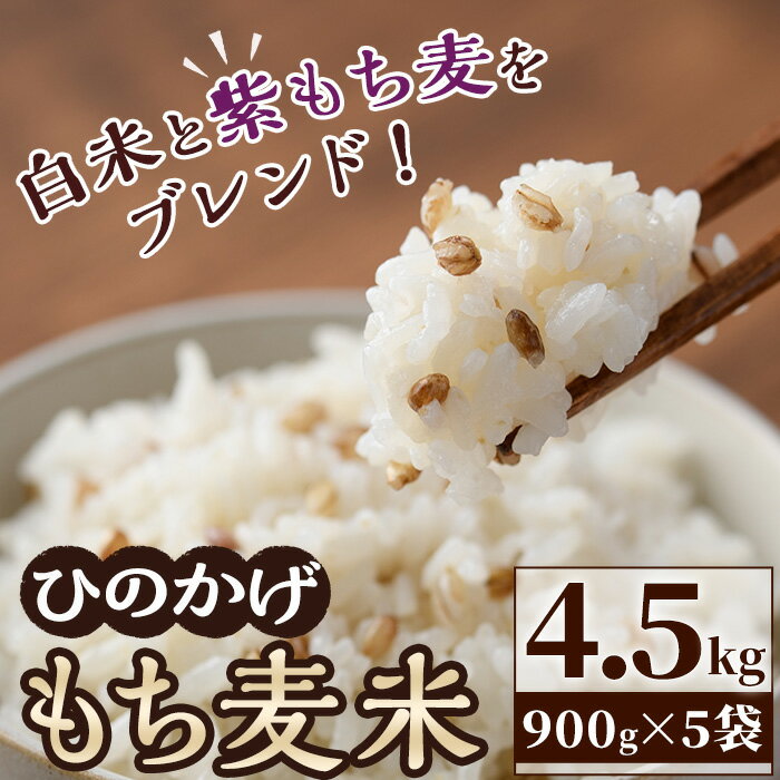 【ふるさと納税】＜令和5年産＞宮崎県日之影町産もち麦米 900g 5袋 紫もち麦 ヒノヒカリ 米 精米 国産 小分け 【AF001】【株式会社ひのかげアグリファーム】