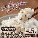 【ふるさと納税】＜令和5年産＞宮崎県日之影町産もち麦米(900g×5袋) 紫もち麦 ヒノヒカリ 米 精米 国産 小分け 【AF001】【株式会社ひのかげアグリファーム】