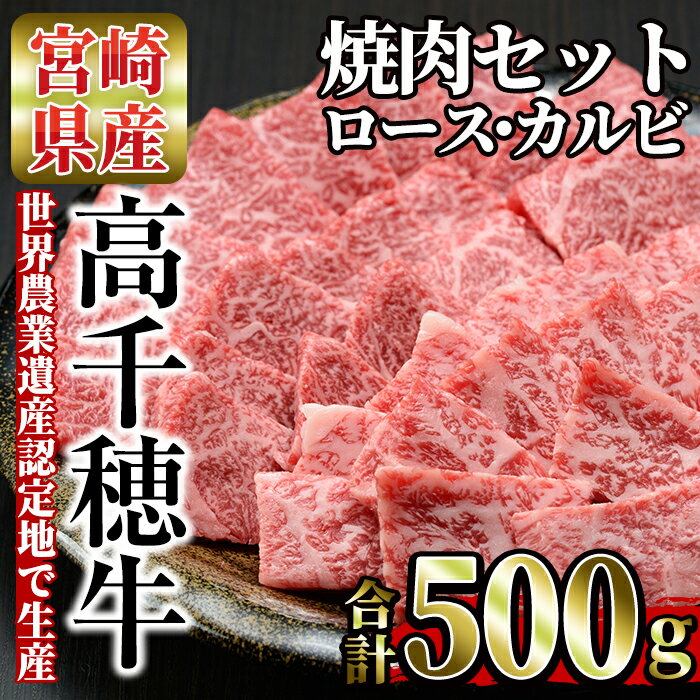 【ふるさと納税】高千穂牛 焼き肉セット(ロース・カルビ各250g) 国産 宮崎県産 宮崎牛 牛肉 焼肉 ロー...