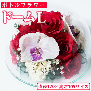 【ふるさと納税】ボトルフラワー＜ドームL・Φ165×H123＞日之影の季節の花やお好きな花をボトルに！【D-4】【ボトルフラワーatelier4-flowers】