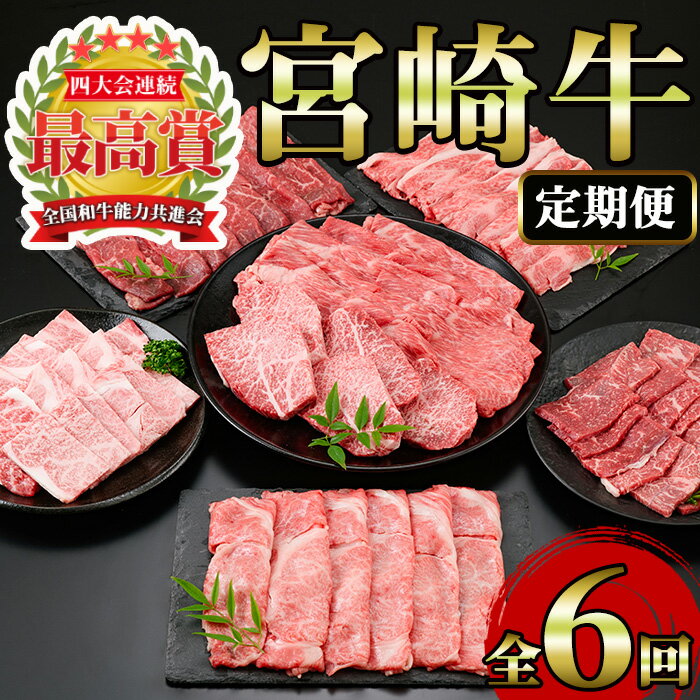 [定期便・6回(連続)]宮崎牛・定期便A(6ヶ月)国産 宮崎県産 宮崎牛 牛肉 ステーキ 焼肉 A4 和牛 モモ肉 ウデ肉 肩ロース[MI002][(株)ミヤチク宮崎加工センター]