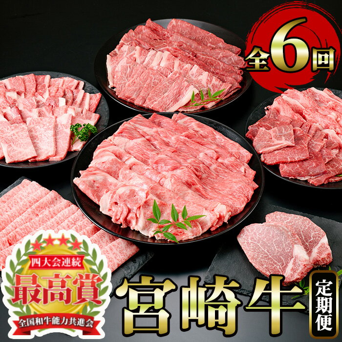 [定期便・6回(連続)]宮崎牛・定期便B(6ヶ月)国産 宮崎県産 宮崎牛 牛肉 ステーキ 焼肉 A4 肩ロース ウデ ロース ヒレ[MI003][(株)ミヤチク宮崎加工センター]