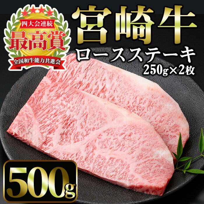 宮崎牛 ロースステーキ(計500g・250g×2枚) 国産 宮崎県産 宮崎牛 牛肉 ステーキ ロース A4 和牛[MI011][(株)ミヤチク宮崎加工センター]