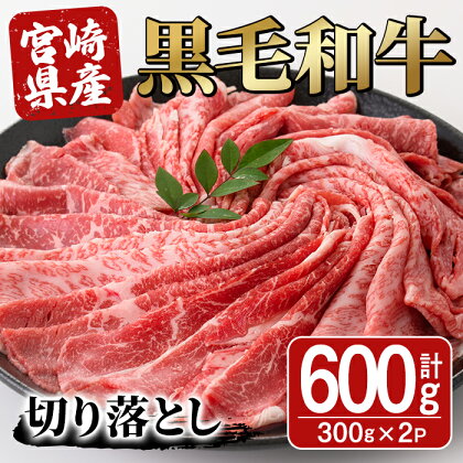 宮崎県産黒毛和牛切り落とし(600g・300g×2P) モモ カタ バラ 国産 牛肉 こま肉 精肉 宮崎県産牛 お肉 黒毛和牛 おにく お取り寄せ【SJ009】【日本ハムマーケティング株式会社】