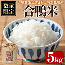 【ふるさと納税】＜令和5年産＞＜数量限定＞合鴨米(5kg×1袋)米 白米 精米 国産 ご飯【MU007】【日之影町村おこし総合産業(株)】