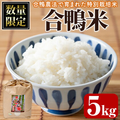 ＜令和5年産＞＜数量限定＞合鴨米(5kg×1袋)米 白米 精米 国産 ご飯【MU007】【日之影町村おこし総合産業(株)】