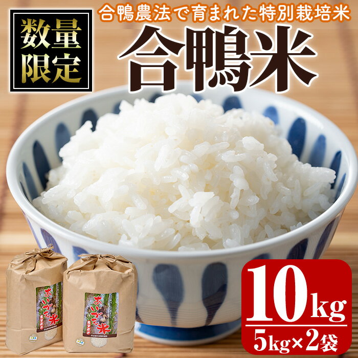 【ふるさと納税】＜令和5年産＞＜数量限定＞合鴨米(5kg×2袋)米 白米 精米 国産 ご飯【MU027】【日之影...