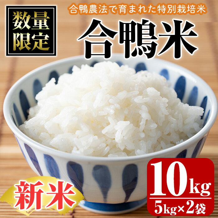 【ふるさと納税】＜数量限定＞令和6年産合鴨米(5kg×2袋)米 白米 精米 国産 ご飯【MU027】【日之影町村おこし総合産業(株)】のサムネイル