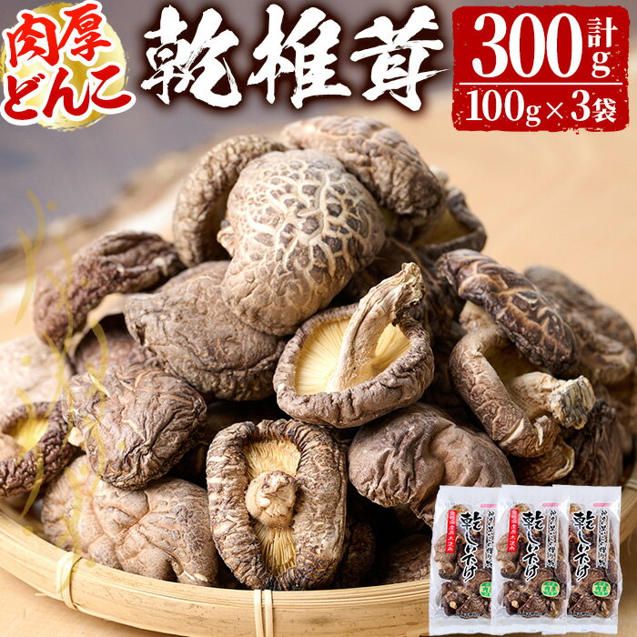 26位! 口コミ数「3件」評価「5」乾椎茸肉厚どんこ(100g×3袋)宮崎県産 原木栽培 特選 干し椎茸 しいたけ きのこ【NK005】【宮崎県農業協同組合　高千穂地区本部】