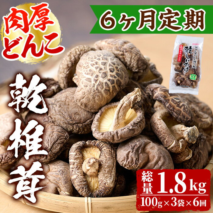 【ふるさと納税】【定期便・全6回(毎月)】乾椎茸肉厚どんこ(計1.8kg・100g×3袋×6回)宮崎県産 原木栽培 特選 干し椎茸 しいたけ きのこ【NK014】【宮崎県農業協同組合　高千穂地区本部】