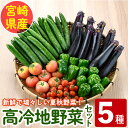 【ふるさと納税】<数量限定・期間限定>高千穂地区高冷地野菜詰め合わせ(5種) やさい きゅうり ピーマン トマト ミニトマト なす 茄子 冷蔵 季節 新鮮 旬 産地直送 【NK017】【宮崎県農業協同組合 高千穂地区本部】