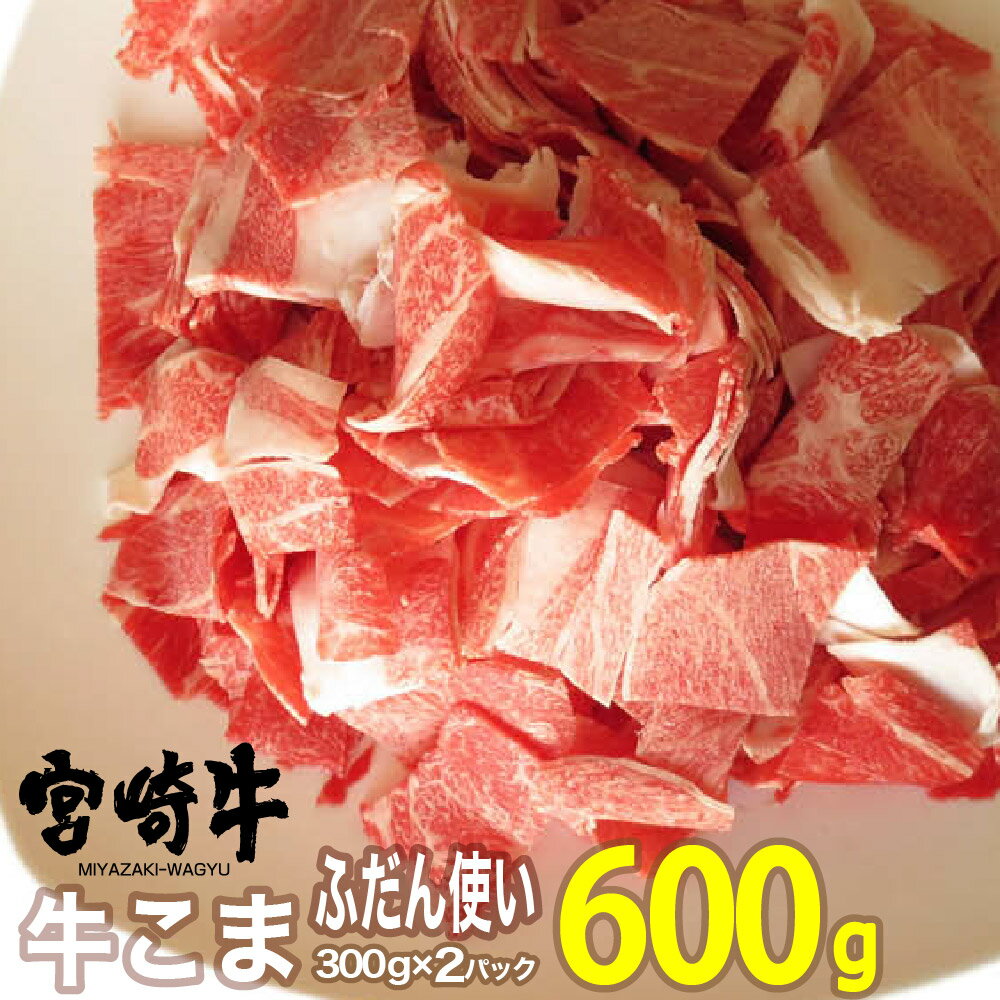 宮崎牛こま(600g・300g×2)牛肉 精肉 お肉 黒毛和牛 ブランド和牛 お取り寄せ 冷凍 国産 宮崎県[SG006][株式会社SHINGAKI]