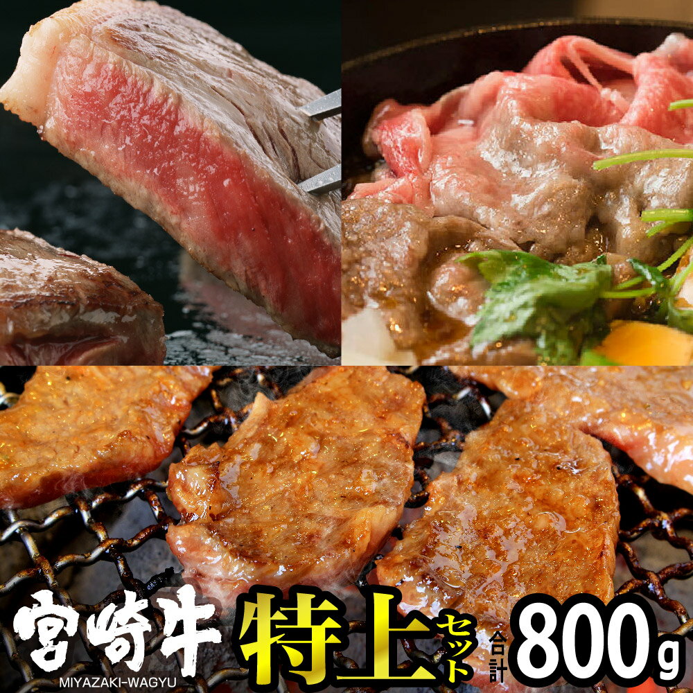 宮崎牛特上セット(合計800g) ロース ステーキ 霜降り スライス バラ 焼肉 牛肉 精肉 お肉 黒毛和牛 ブランド和牛 お取り寄せ 冷凍 国産 宮崎県[SG018][株式会社SHINGAKI]