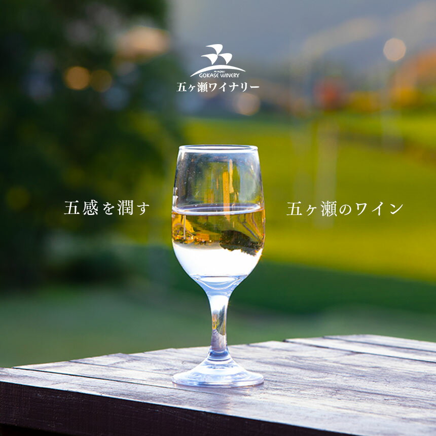 【ふるさと納税】五ヶ瀬ワイン 飲み比べセット（白・甘口＆白・辛口）