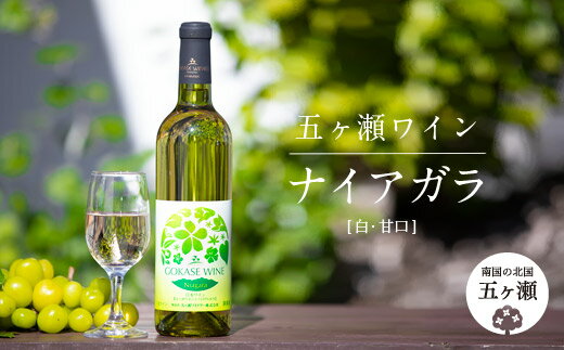 【ふるさと納税】 五ヶ瀬ワイン ナイアガラ （ 白 ・ 甘口 ） 720ml 五ヶ瀬ワイナリー ワイン 白ワイン 生食用ぶどう ないあがら 国産 宮崎 五ヶ瀬町 五ヶ瀬町産ぶどう100％