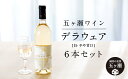 29位! 口コミ数「0件」評価「0」五ヶ瀬ワイン デラウェア（白・やや甘口） 720ml 6本 | 五ヶ瀬ワイナリー ワイン 白ワイン 柑橘系 肉料理 国産 宮崎 五ヶ瀬町 五･･･ 