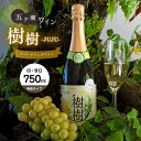 名称：五ヶ瀬スパークリングワイン 樹樹 -JUJU-（白・甘口・発泡タイプ） 内容量：750ml（白・甘口・発泡タイプ）×1本 原材料：五ヶ瀬町産ぶどう 保存方法：常温 配送：北海道・沖縄県を含むすべての離島は配送不可となっております。 製造者：五ヶ瀬ワイナリー株式会社 未成年者への酒類の販売は固くお断りしています。 五ヶ瀬ワイナリー人気No.1の白ワイン「ナイアガラ」のスパークリングタイプです。 ナイアガラの香りはそのままに、スパークリングにすることで甘さ控えめのすっきりとしたナイアガラへと生まれ変わりました。 飲み口爽やかです。 ・ふるさと納税よくある質問はこちら ・寄付申込みのキャンセル、返礼品の変更・返品はできません。あらかじめご了承ください。五ヶ瀬スパークリングワイン 樹樹 -JUJU-（白・甘口・発泡タイプ） 美しい黄金色が特徴の生食用ぶどう品種「ナイアガラ」を使用したスパークリングワイン 飲み口爽やかな、ナイアガラの香りはそのままになっております ●五ヶ瀬ワイナリー 九州のほぼ中央に位置し九州山地に抱かれた美しい夕日の里として知られる、五ヶ瀬町桑野内地区。 標高660mのなだらかな丘陵地に五ヶ瀬ワイナリーはあります。 ●豊かな環境で育つブドウ 四季の移ろいが豊かで、雄大な環境の中のびのびと育つブドウは糖度と酸味のバランスが絶妙。 五ヶ瀬の風土がぎゅっと閉じ込められたブドウからつくられる五ヶ瀬ワインは、みずみずしさ溢れるフルーティな仕上がり。 地元で育まれたブドウを100%使った芳醇な味わいのワインを、じっくりお楽しみください。 ●五ヶ瀬町産ブドウ100％ 五ヶ瀬ワインの原料になるブドウは、地元の栽培農家の皆さんとともに厳しくも豊かな自然と向き合いながら、様々な品種のブドウを育てています。 五ヶ瀬町は、昼夜の寒暖差が大きく年間平均気温が12度という冷涼な高冷地。毎年、秋にはこの土地ならではの個性豊かなブドウが五ヶ瀬ワイナリーへ出荷されます。 ●ブドウの個性を最大限に 五ヶ瀬ワインは単一品種ごとに製造する手法を用いています。 それは、素材本来の風味を引き出す反面、ブドウ畑の土壌や質が問われるものです。 シンプルでありながらその土地の風土が色濃く反映されるワインづくり。 ブドウの個性を最大限に引き出すための醸造方法を試みながら、ワインづくりと日々、向き合っています。 「ふるさと納税」寄付金は、下記の事業を推進する資金として活用してまいります。 寄付を希望される皆さまの想いでお選びください。 (1) 教育・文化・スポーツの振興に関する事業 (2) 保健・医療・介護・福祉の向上に関する事業 (3) 産業の振興に関する事業 (4) 森林整備・水源涵養、自然環境・景観の保全に関する事業 (5) 生活環境の向上及び施設の整備に関する事業 (6) 町民活動・行政活動の充実に関する事業 (7) その他目的達成のための町長が必要と認める事業 特段のご希望がなければ、町政全般に活用いたします。 ■受領書 入金確認後、注文内容確認画面の【注文者情報】に記載の住所に7日以内に発送いたします。 ■ワンストップ特例申請書 ワンストップ特例申請書は返礼品と一緒にお送り致します。 ワンストップ特例申請書は入金確認後7日以内に住民票住所へお送り致します。