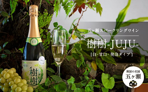 【ふるさと納税】 五ヶ瀬スパークリングワイン 樹樹 ‐JUJU‐ （ 白 ・ 甘口 ・ 発泡タイプ ） 750ml 五ヶ瀬ワイナリー　　スパークリングワイン ワイン 白ワイン ナイアガラ 国産 宮崎 五ヶ瀬町 五ヶ瀬町産ぶどう100％