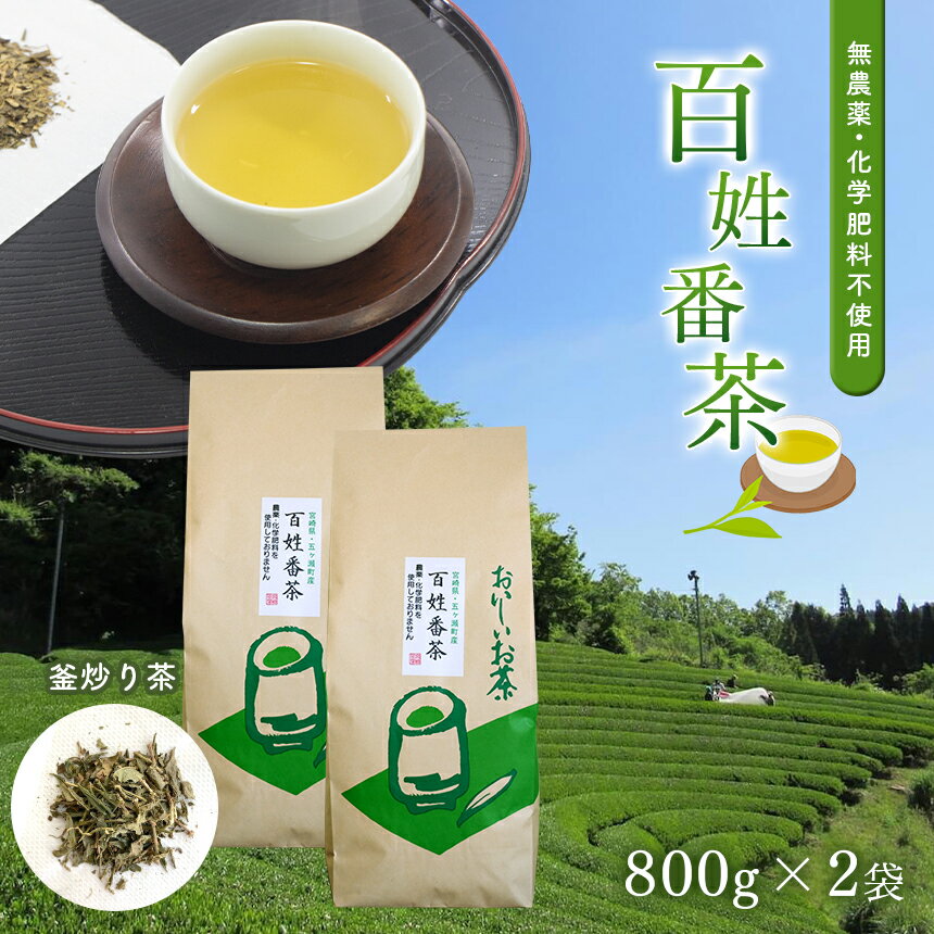 無農薬 ・ 化学肥料不使用 百姓番茶 ( 釜炒り茶 ) 2袋セット 1,600g 有機JAS 認定 茶農家 の まかない 茶 大容量 たっぷり 緑茶 番茶 天皇杯受賞 宮崎県 五ヶ瀬町