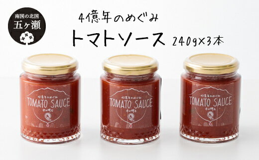 28位! 口コミ数「0件」評価「0」四億年のめぐみ「トマトソース」240g×3本 | 宮崎県 五ヶ瀬町 調味料 加工品 ソース トマトソース 瓶　瓶詰め