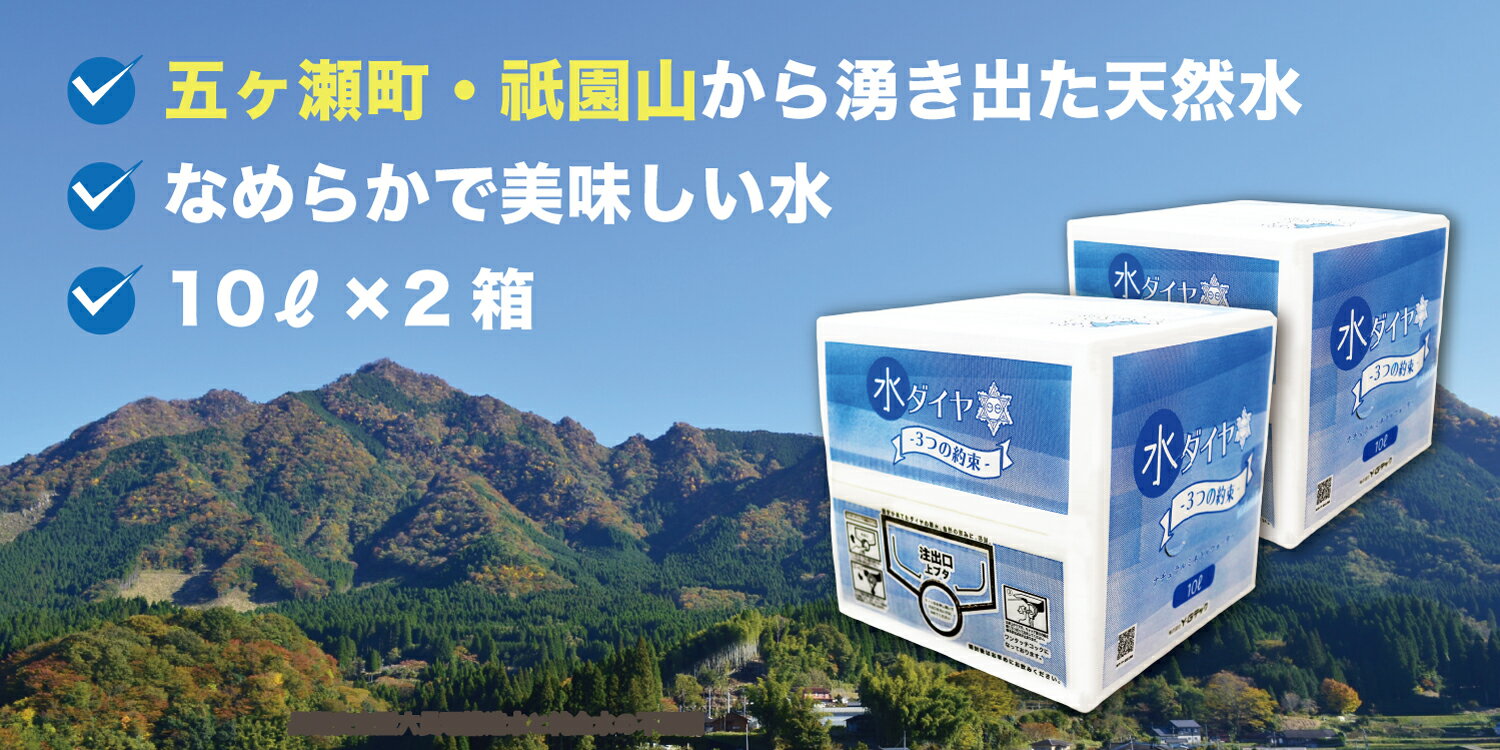 【ふるさと納税】五ヶ瀬町・祇園山から湧き出た天然水 《 水ダイヤ 》10リットル × 2箱　宮崎県 五ヶ...