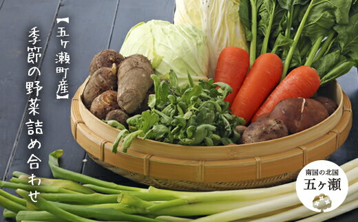 【ふるさと納税】五ヶ瀬町産・季節の野菜詰め合わせセット