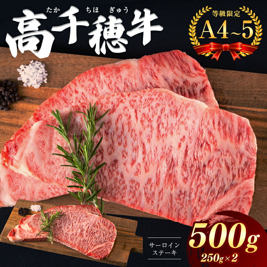 高千穂牛 サーロインステーキ 500g A4 ~ A5 等級 限定 | 宮崎牛 黒毛和牛 地域限定肥育 牛肉 肉 にく 国産 ブランド牛 ステーキ 内閣総理大臣賞受賞 宮崎県 西臼杵 高千穂 五ヶ瀬