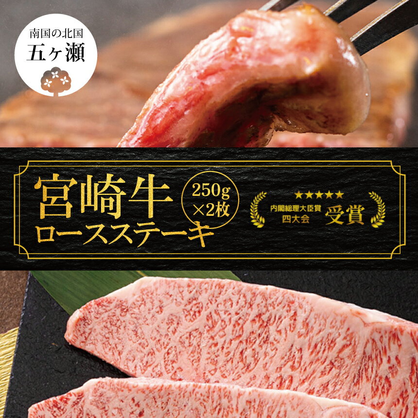 宮崎牛 ロース ステーキ 2枚 （ 500g ） | ※ 数量限定 肉 牛肉 牛 霜降り 宮崎 ブランド 牛 宮崎 五ヶ瀬 送料無料