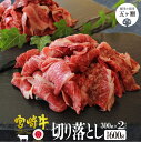 【ふるさと納税】 宮崎牛 切り落とし 600g ( 300g × 2 ) | 肉 牛肉 ブランド 肉 焼肉 切り落とし 黒毛和種 肉質等級 A4 A5 ブランド...