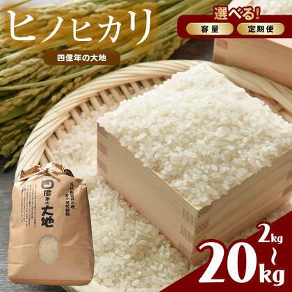 特別栽培米 四億年の大地（ ヒノヒカリ ） 2kg or 5kg or 10kg or 20kg or 5kg×5回 | お米 米 こめ 農薬不使用 棚田 湧き水 妙見水 九州 宮崎県 五ヶ瀬町 送料無料