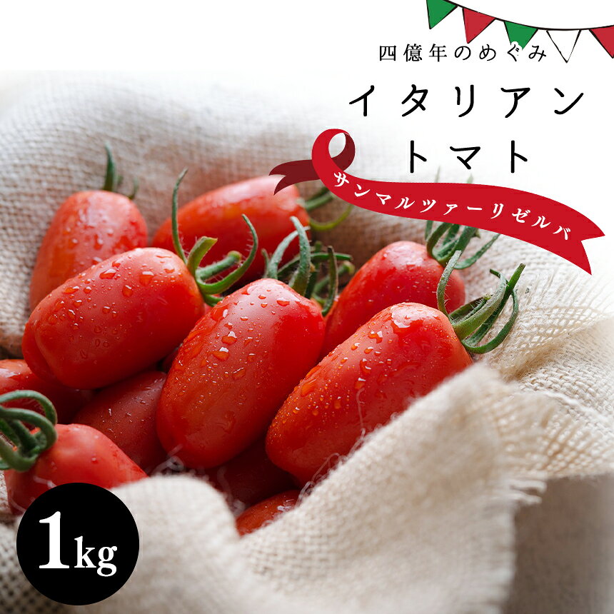 四億年のめぐみ 「 イタリアン トマト ・ サンマルツァー ノリゼルバ 」 1kg 【先行予約】 | ミニトマト グルタミン酸 GABA イタリア ソース サラダ 夏野菜 九州 宮崎 五ヶ瀬