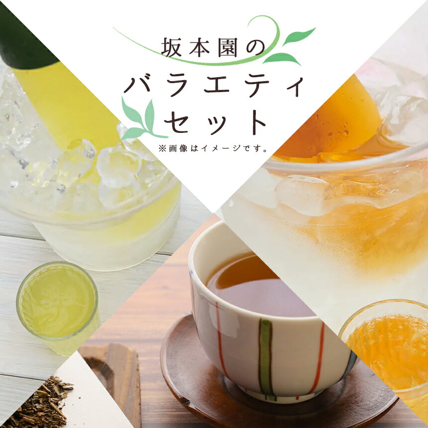 坂本園のバラエティセット 6種類セット お茶 ティーバック 日本茶 粉末緑茶 入り 有機JAS 農薬 ・ 化学肥料 不使用 宮崎 五ヶ瀬 夏 熱中症 対策 冷たい お茶