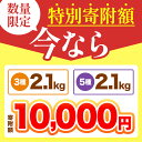 宮崎県五ヶ瀬町の画像2
