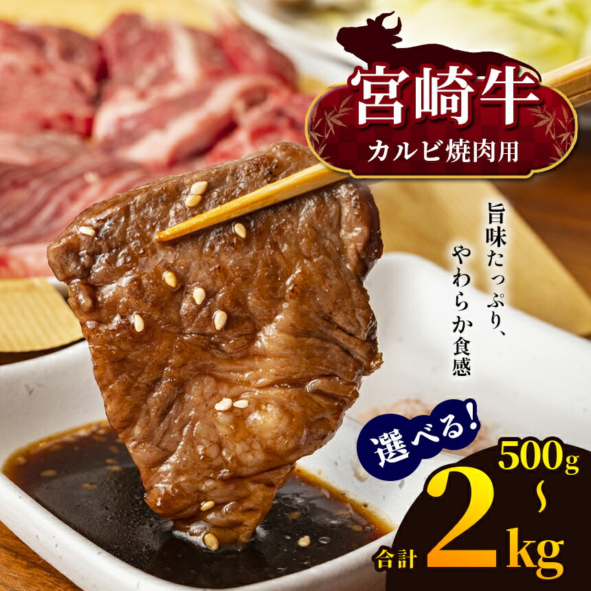 選べる!宮崎牛 カルビ焼肉 500g or カルビ焼肉 1kg カルビ焼肉 2kg | 宮崎牛 A4 ~ A5等級 以上 黒毛和牛 牛肉 肉 にく 国産 ブランド牛 焼肉 内閣総理大臣賞 受賞 宮崎県 五ヶ瀬町