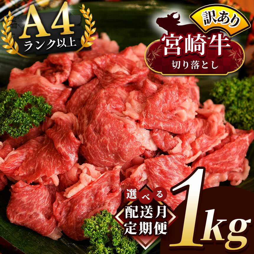 【ふるさと納税】 宮崎牛 (A4 ~ A5 ランク 厳選 ) 切り落とし 訳あり 1kg（ 500g