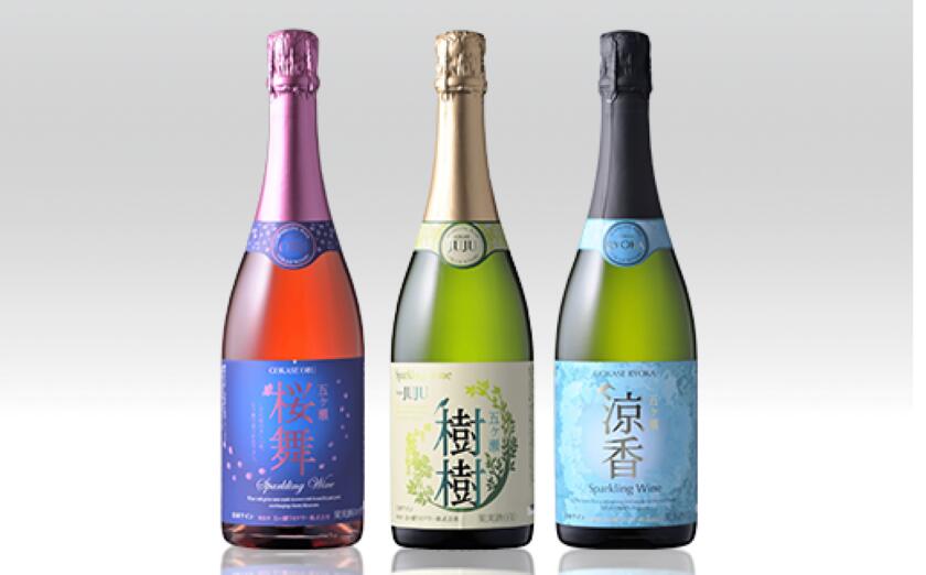 宮崎県五ヶ瀬町の画像2