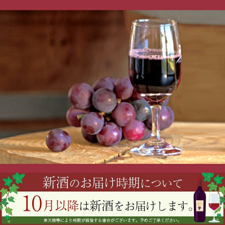 宮崎県五ヶ瀬町の画像3