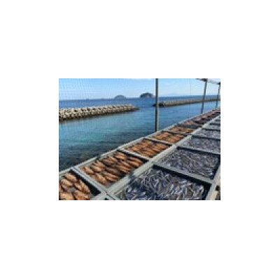 【ふるさと納税】甑島の天日干しセット【配送不可地域：離島】【1743041】